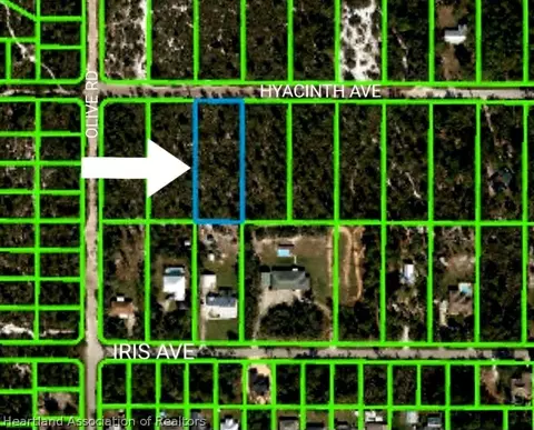 1149 Hyacinth Ave, Sebring, FL 33875 photo 1