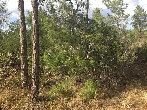 1809 Nectar Ave, Sebring, FL 33875 photo 2
