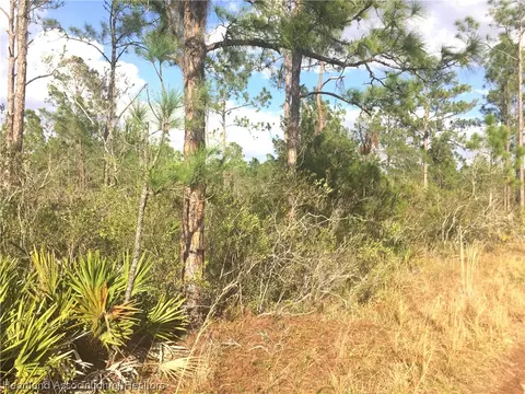 1809 Nectar Ave, Sebring, FL 33875 photo 7
