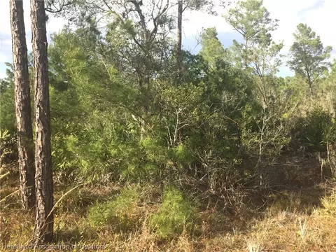 1809 Nectar Ave, Sebring, FL 33875 photo 3