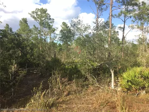 1809 Nectar Ave, Sebring, FL 33875 photo 4