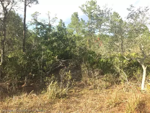 1809 Nectar Ave, Sebring, FL 33875 photo 5