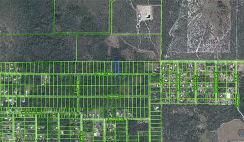 938 Hyacinth Ave, Sebring, FL 33875