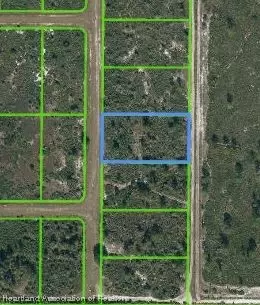 2235 S Nitschke Rd, Avon Park, FL 33825