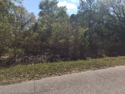 2887 W Matte Rd, Avon Park, FL 33825