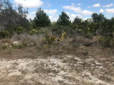 2924 W Hasbrouck Rd, Avon Park, FL 33825