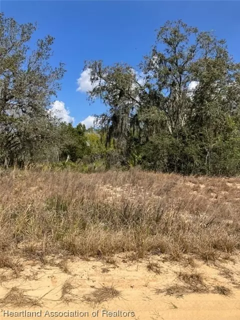 2824 W Beufort Rd, Avon Park, FL 33825