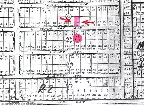 229 Scrub Jay Ave, Sebring, FL 33870