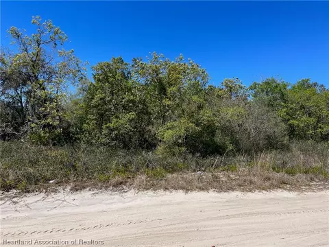 233 N Walker Rd, Avon Park, FL 33825