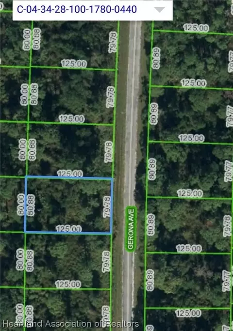 4423 Gerona Ave, Sebring, FL 33872