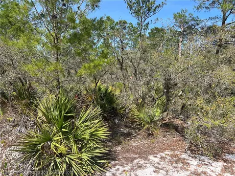 5523 Nectarine Rd, Sebring, FL 33875 photo 4