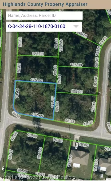 8148 Ancha St, Sebring, FL 33872