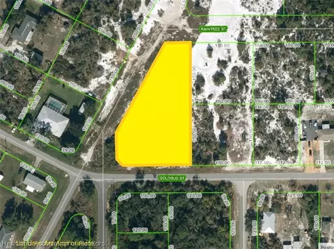1410 Goldbud St, Lake Placid, FL 33852
