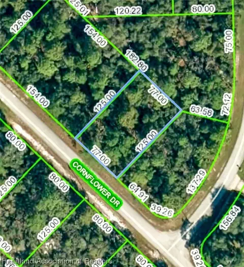 3223 Cornflower Dr, Lake Placid, FL 33852