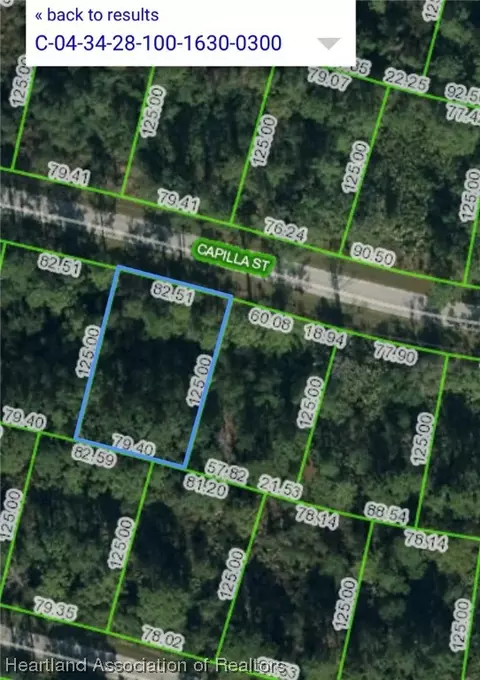 8529 Capilla St, Sebring, FL 33872