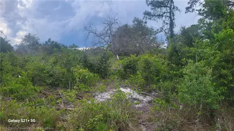213 Broach St NW, Lake Placid, FL 33852