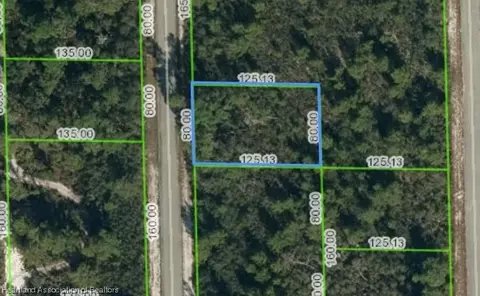 959 Hemack St, Lake Placid, FL 33852