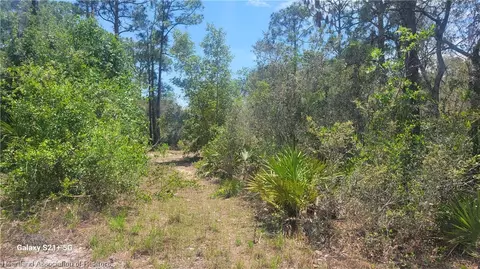 3373 Gossamer Ave, Lake Placid, FL 33852