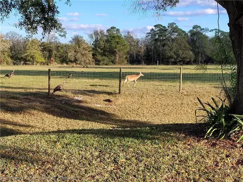 1929 Elf Dr, Sebring, FL 33875 photo 34