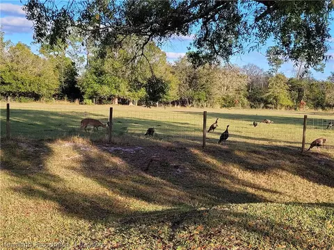1929 Elf Dr, Sebring, FL 33875 photo 35