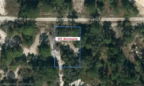 393 Morningside Dr, Lake Placid, FL 33852