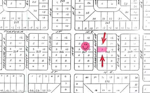220 Sugarloaf Ave NE, Lake Placid, FL 33852