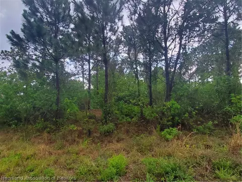 100 Sky Hawk Pl NW, Lake Placid, FL 33852