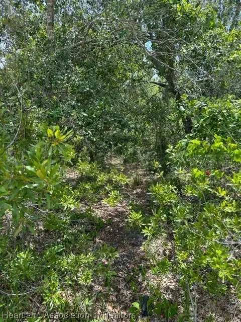2525 Pine Needle Dr, Sebring, FL 33875 photo 4