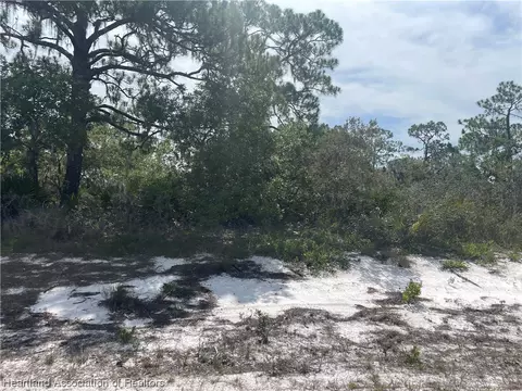 110 Mallory St NW, Lake Placid, FL 33852