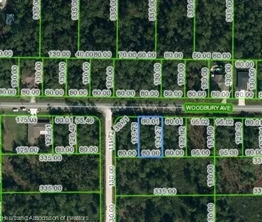 1229 Woodbury Ave, Sebring, FL 33875