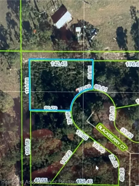 10201 Blackberry Ct, Sebring, FL 33875 photo 1