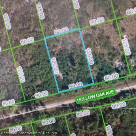 3115 Hollow Oak Ave, Lake Placid, FL 33852