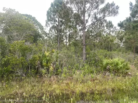 812 Seneca Dr NW, Lake Placid, FL 33852