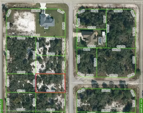 107 Delta Ave NW, Lake Placid, FL 33852