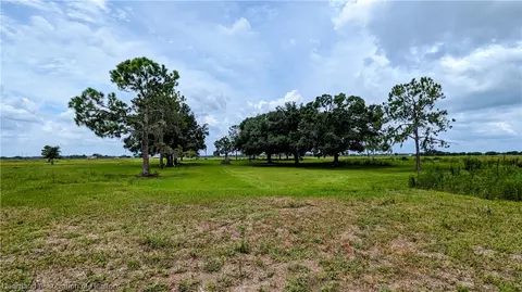Roy Moore Road, Ona, FL 33865 photo 8