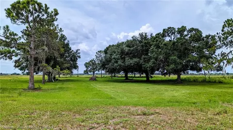 Roy Moore Road, Ona, FL 33865