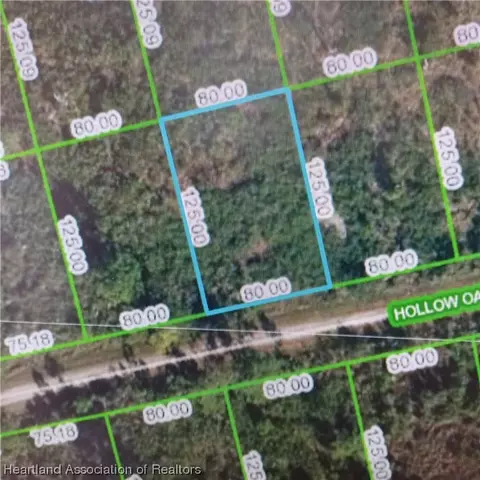 3117 Hollow Oak Ave, Lake Placid, FL 33852