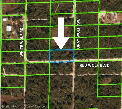 1301 Gray Wolf Ave, Sebring, FL 33870