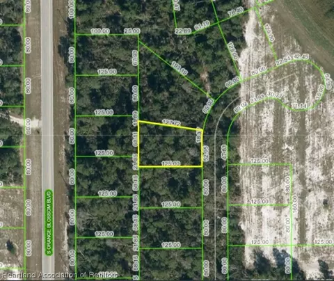10625 Deep Hazard Dr, Sebring, FL 33875