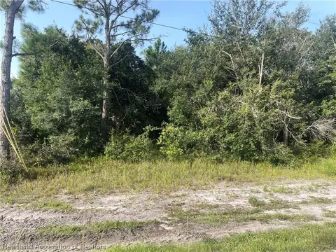 1064 Wildflower St, Lake Placid, FL 33852