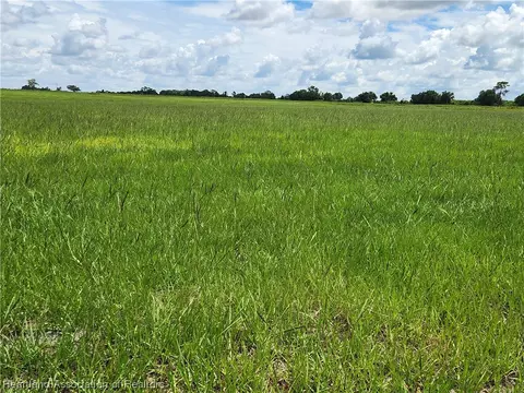 1005 Cattle Ranch Rd, Venus, FL 33960 photo 4
