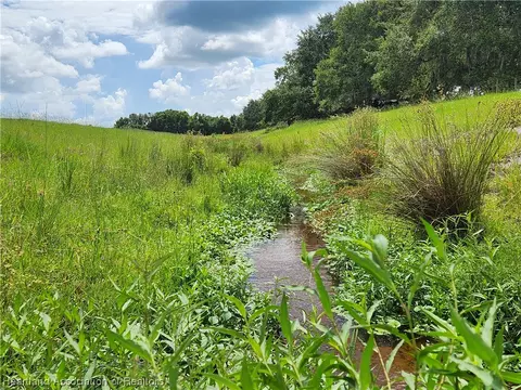 1005 Cattle Ranch Rd, Venus, FL 33960 photo 5