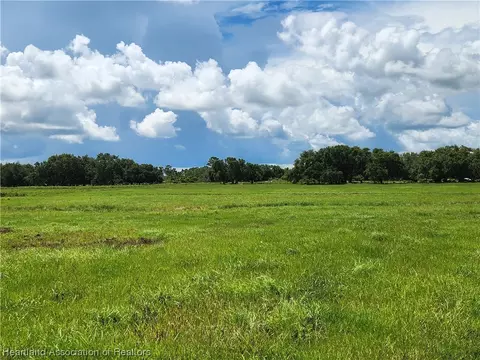 1005 Cattle Ranch Rd, Venus, FL 33960 photo 8