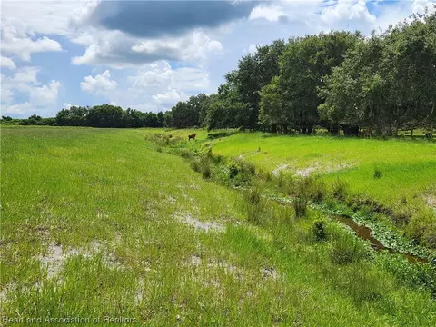 1005 Cattle Ranch Rd, Venus, FL 33960 photo 3