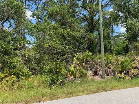 834 Primrose St, Lake Placid, FL 33852