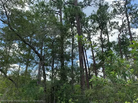 267 Phantasy Ave, Lake Placid, FL 33852