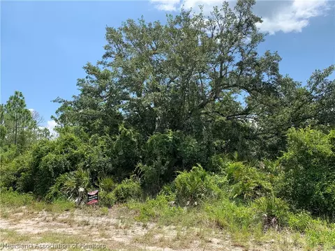 311 Hallmark Ave, Lake Placid, FL 33852
