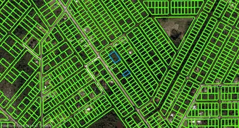568 Bottlebrush Ave, Lake Placid, FL 33852