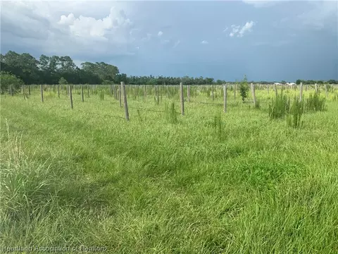 9236 Muscadine Dr, Sebring, FL 33875