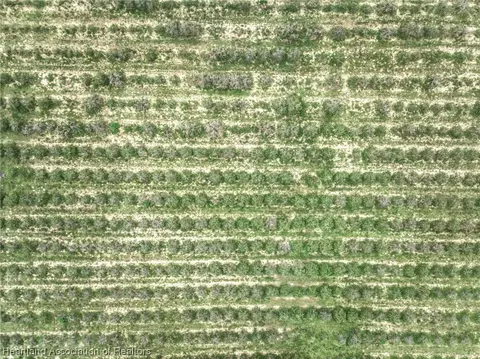0 Platt Rd, Frostproof, FL 33843 photo 7